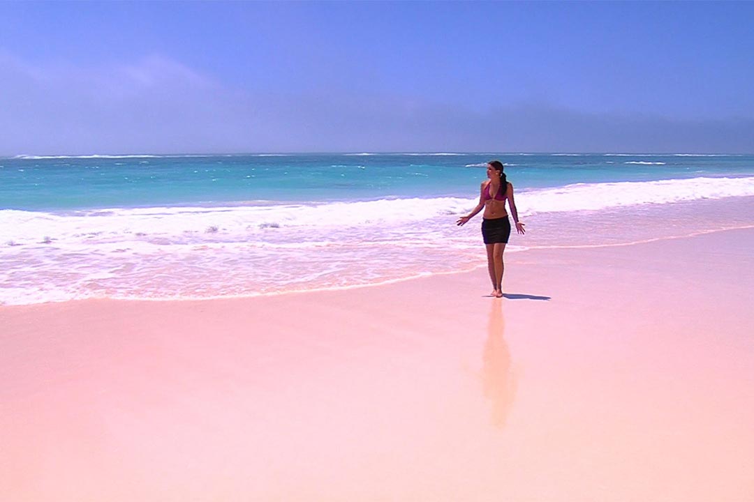 Pink Sands beach