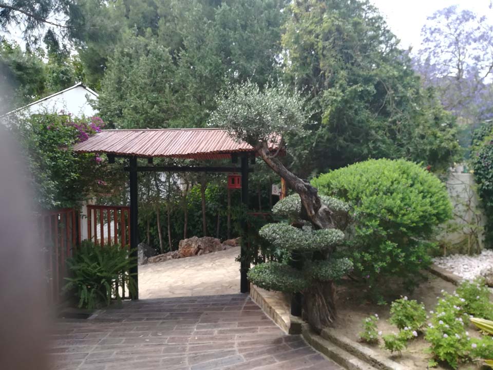 Japanese section of the Botanical Garden in Torremolinos