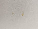 Dirty walls in this airbnb apartment