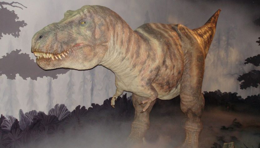 A dinosaur at the Natural History Museum in London